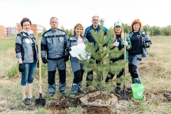 Около 70 деревьев высадили в Шелехове в рамках экоакции РУСАЛа