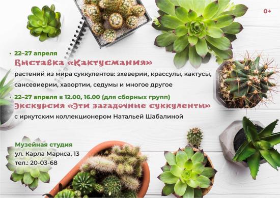Выставка суккулентов «Кактусмания» откроется в Музейной студии Иркутска 22 апреля