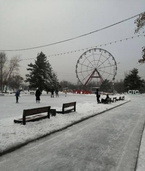 Каток залили на острове Конный в Иркутске