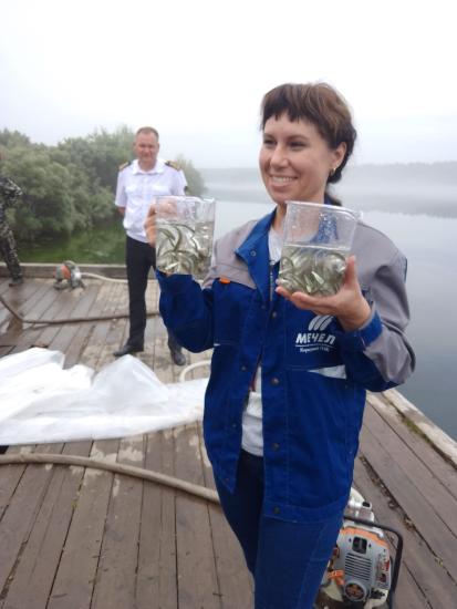 Коршуновский ГОК выпустил в Усть-Илимское водохранилище более 460 тысяч мальков пеляди
