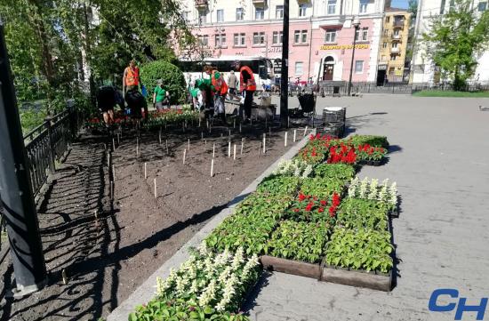 Фото Иванны Обухович Клумбы Иркутска в этом году украсят ковровые узоры