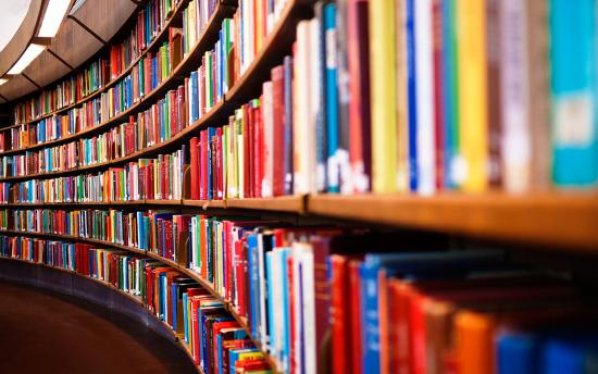 Книжный фонд 41-й библиотеки Братского района обновлен
