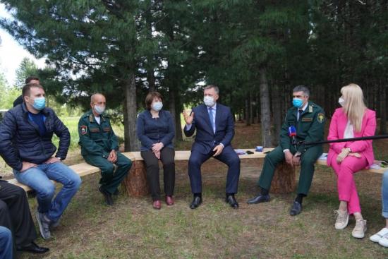 Пилотный проект по восстановлению кедровых лесов запустят в Иркутской области