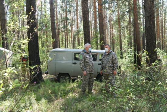 В Иркутской области будут вести непрерывный мониторинг использования лесов