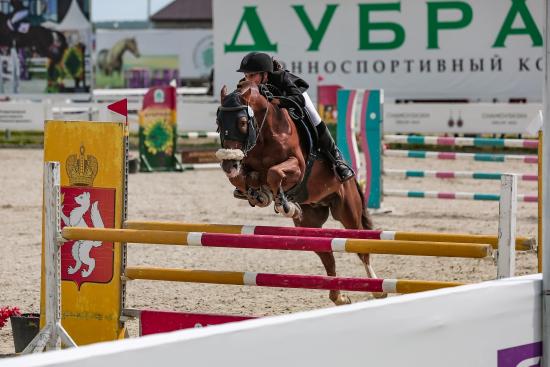 Спортсменки Приангарья выиграли 12 медалей на всероссийских соревнованиях по конкуру