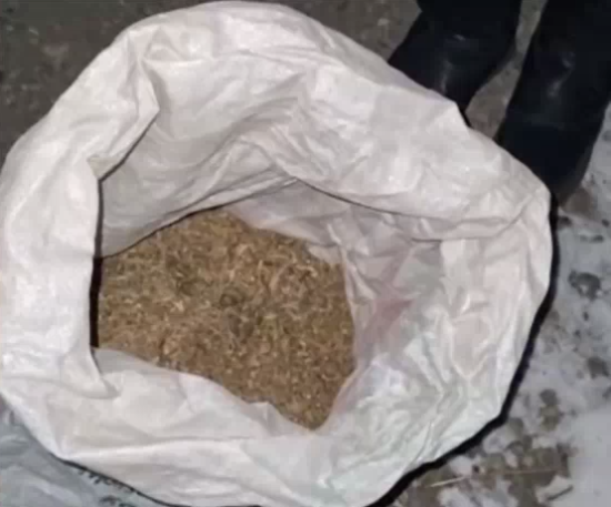 Молодой человек в Зиминском районе переносил коноплю под видом корма для кроликов
