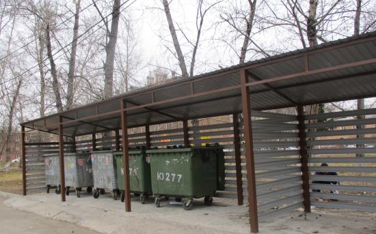 Останки крупного рогатого скота несколько раз обнаружили в Иркутске-2 в контейнерах для ТКО