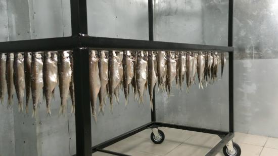 Рыбный комплекс открылся в Тулуне