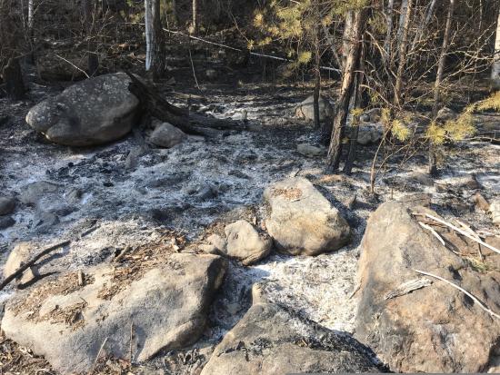 Окурок мог стать причиной лесного пожара в Шелеховском районе