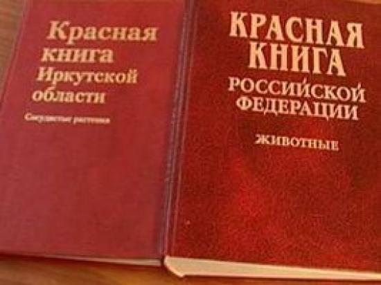 Красную книгу переиздали в Иркутской области