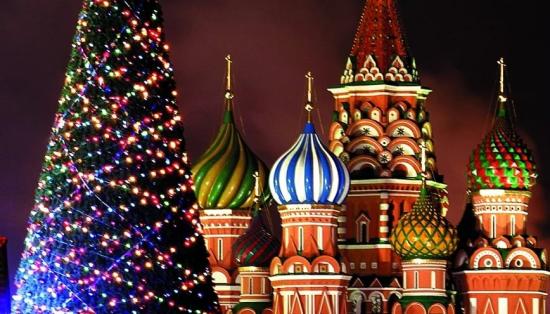 Семена Кремлевской елки высадят в Братске