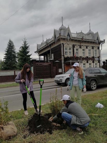 Более 100 деревьев и кустарников высадили в Купеческом сквере в Иркутске