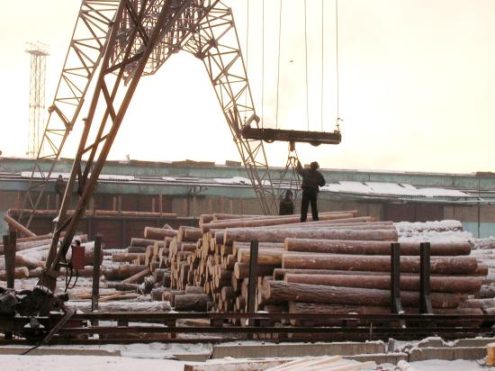 Таможенники в Иркутске пресекли крупный канал контрабанды леса членами ОПГ