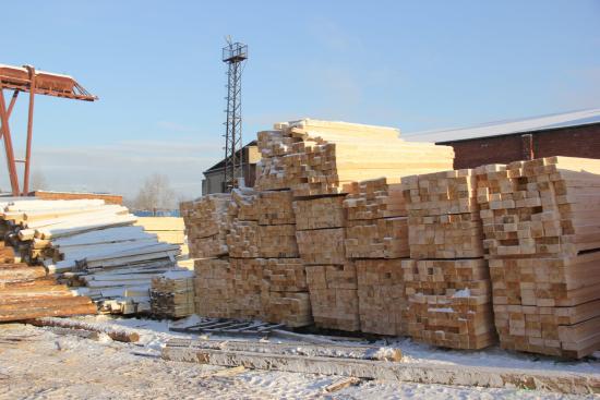 Жительницу Братского района обвиняют в контрабанде леса на 55 млн рублей