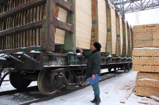 Фирма не вернула в Россию валюту за лес, экспортированный из Приангарья в Афганистан и Таджикистан