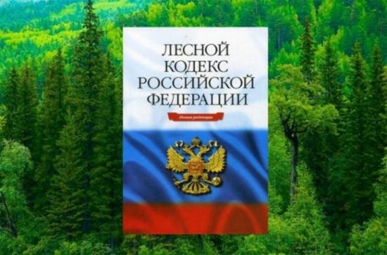 Территориальное управление министерства лесного комплекса Иркутской области по Нижнеилимскому лесничеству на протяжении 2016 — 2017 годов нарушало требования лесного законодательства Прокуратура: Лесное законодательство в течение двух лет нарушалось на территории Нижнеилимского лесничества