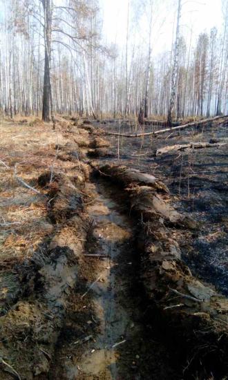 Лесной пожар ликвидировали в 3 км от Бодайбо