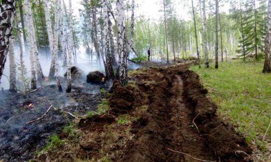 Лесные пожары ликвидировали в Усть-Кутском и Киренском районах