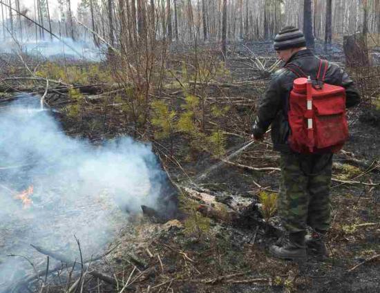 Три пожара ликвидировано за сутки в лесах Иркутской области