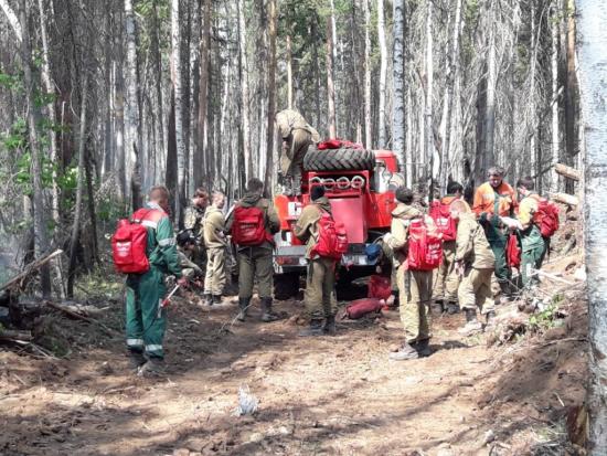 В Иркутской области посёлок оказался в опасности после резкого изменения направления ветра Лесной пожар почти сутки угрожал поселку Бур на севере Иркутской области