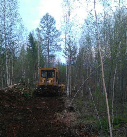 Общая площадь пожаров составила 115 га, покрытых лесом, и 275 не лесных гектаров За минувшие сутки в Иркутской области ликвидировано 12 лесных пожаров