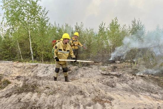 В лесном фонде Иркутской области действует три пожара на общей площади 9,5 гектаров
