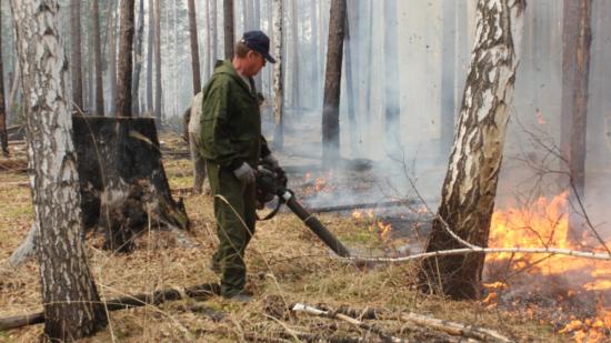 В лесах Иркутской области ликвидировано 16 пожаров