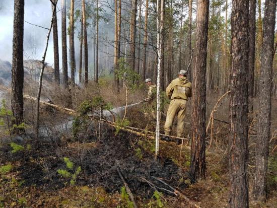Два пожара на площади более 30 га ликвидировали за сутки в лесном фонде в Иркутской области