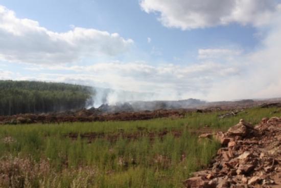 В локализованном состоянии на текущие сутки перешло два пожара, распространение огня остановлено на площади 1,3 га: в Братском и Нижнеилимском районах За минувшие сутки в Иркутской области ликвидировано пять и локализовано два лесных пожара