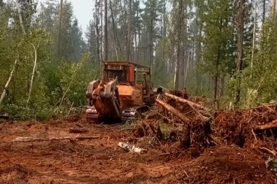 Пути для доставки техники на тушение крупного лесного пожара проложили в труднодоступной местности Катангского района Приангарья