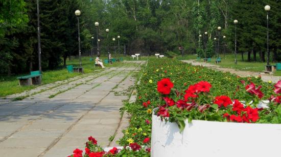 Работы по благоустройству мемориальной зоны Лисихинского парка в Иркутске выполнены на 70% Благоустройство мемориальной зоны Лисихинского парка в Иркутске в этом году завершат к середине октября