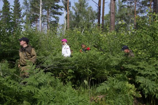 Не прекращаются поиски пропавшего в лесу пенсионера