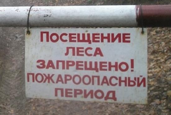 Режим ЧС из-за лесных пожаров введен в двух районах Иркутской области