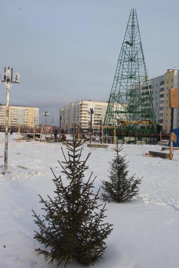 Установка новогодней елки началась в Братске