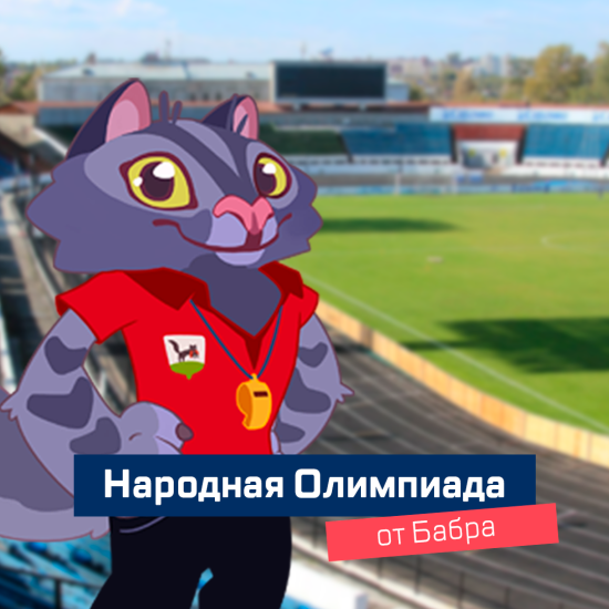«Народные игры от Бабра» проведут во второй половине лета на спортивных площадках Иркутска