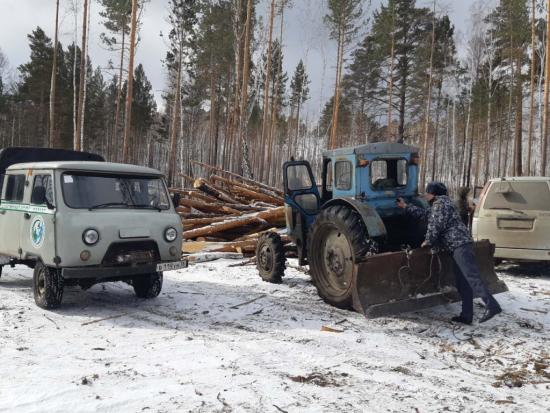 Семь незаконных рубок было обнаружено во время операции «Колея» в Иркутской области