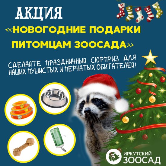Сделать новогодний подарок питомцу приглашает Иркутский зоосад