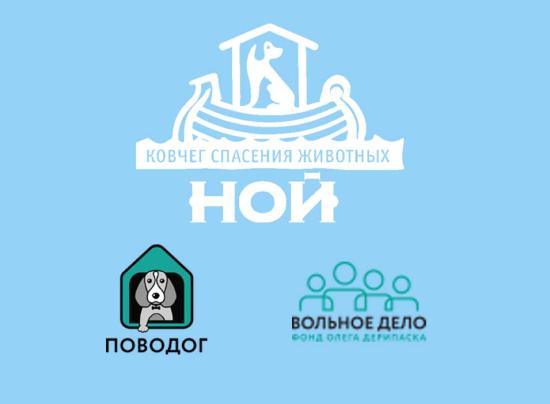«Вольное дело» профинансирует Фонд защиты животных Иркутской области «Ной»