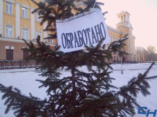 Обработка хвойных деревьев для защиты от незаконных вырубок проходит в Иркутске