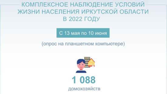 Комплексное наблюдение условий жизни населения проведут в Иркутской области