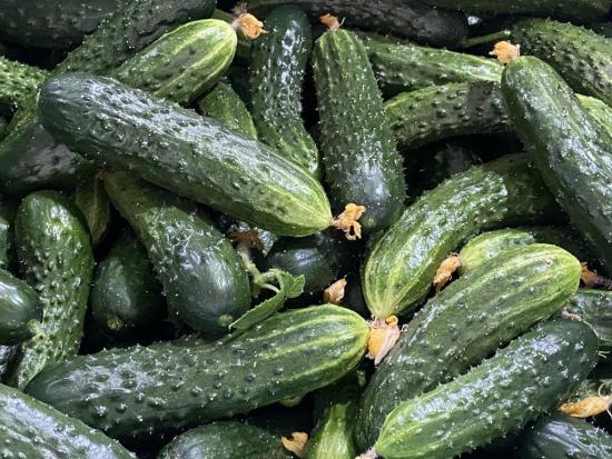 Цены на продукты в Приангарье в мае снизились на 0,3%