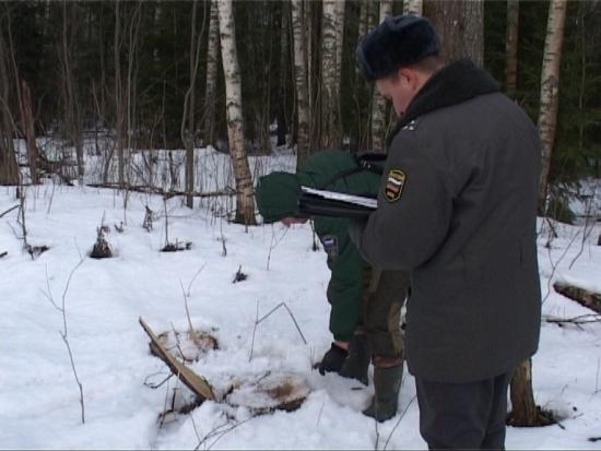 Межведомственная операция «Ель» стартовала в Иркутской области