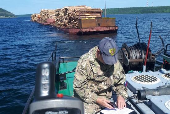 Незаконные рубки леса в Иркутской области с начала года сократились на 54%