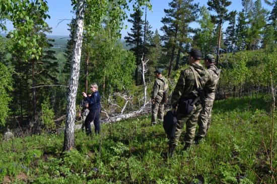 Уголовное дело возбудили по факту лесного пожара в Тайшетском районе