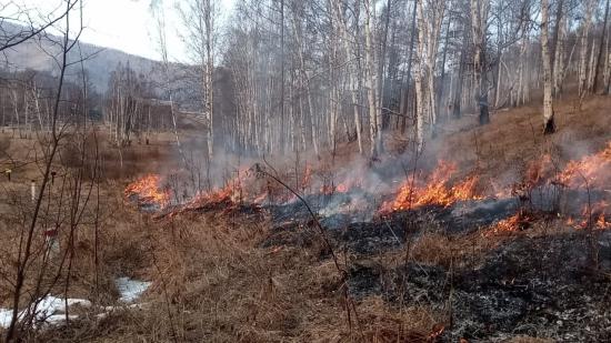 Плановые отжиги сухой травы продолжаются в Иркутской области