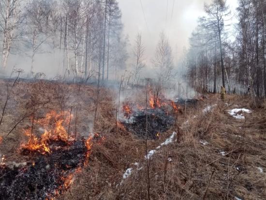 Контролируемые отжиги сухой травы проводят в Иркутском районе