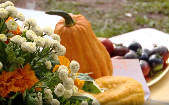 Сезонное снижение цен на плодоовощную продукцию нового урожая фиксируют в Иркутской области
