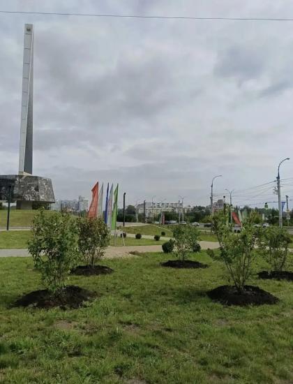 Почти 300 деревьев и кустарников высадили на общественных пространствах Иркутска