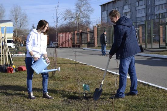 В рамках акции «Мой зеленый город» в Иркутске высадят более 300 деревьев В Иркутске высадят более 300 деревьев