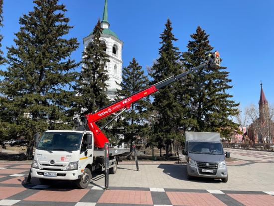 В Иркутске моют кроны хвойных деревьев